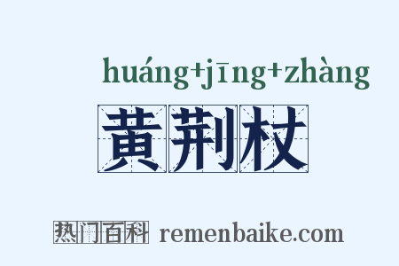 黄荆杖是什么意思的图片